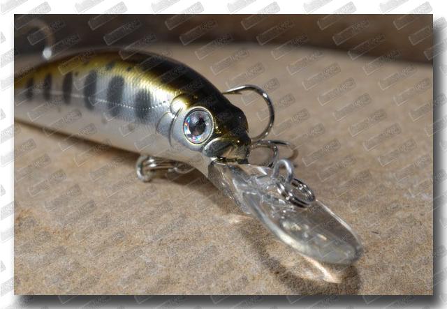 BASSDAY Sugar Deep 50F