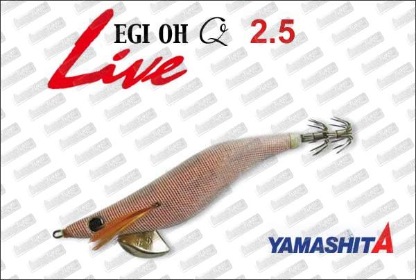 YAMASHITA EGI-Oh Q Live 2.5