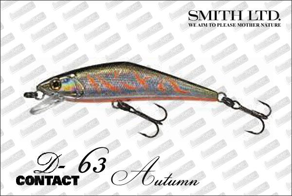 SMITH D-Contact 63 Autumn