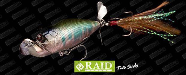 RAID JAPAN Two Side