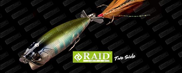 RAID JAPAN Two Side