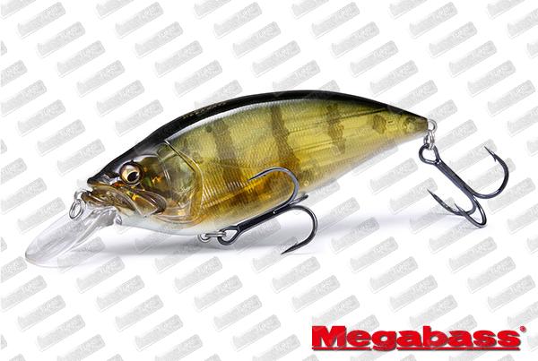 MEGABASS Big-M 40