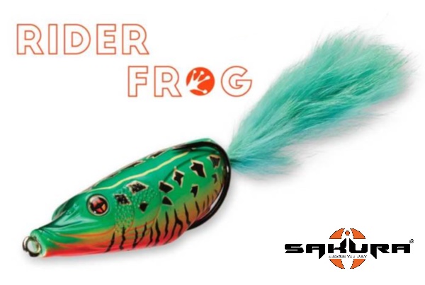 SAKURA Rider Frog 70