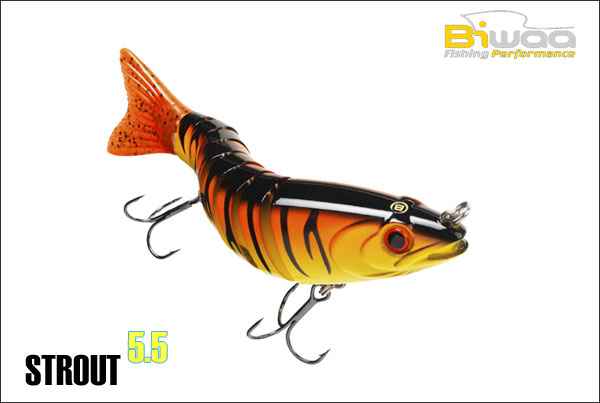 BIWAA S'tröut 5.5