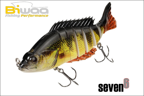BIWAA Seven 6