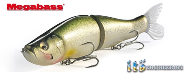 MEGABASS I-Slide 262 T