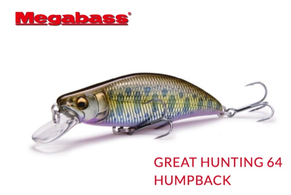MEGABASS Great Hunting GH 64 Humpback 