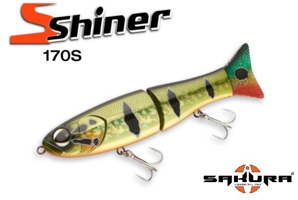 Sakura s-shiner 170s