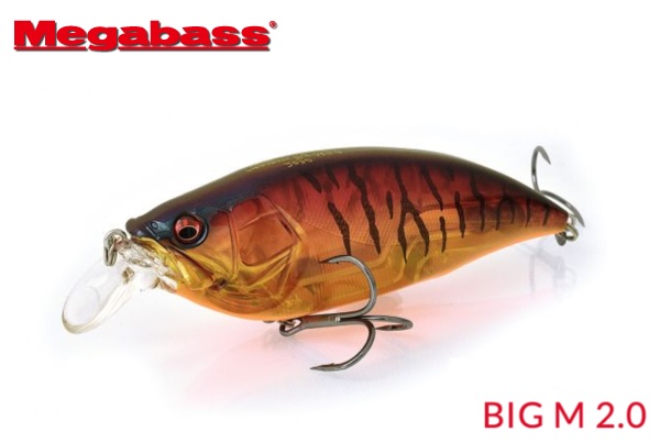 MEGABASS Big-M 2.0