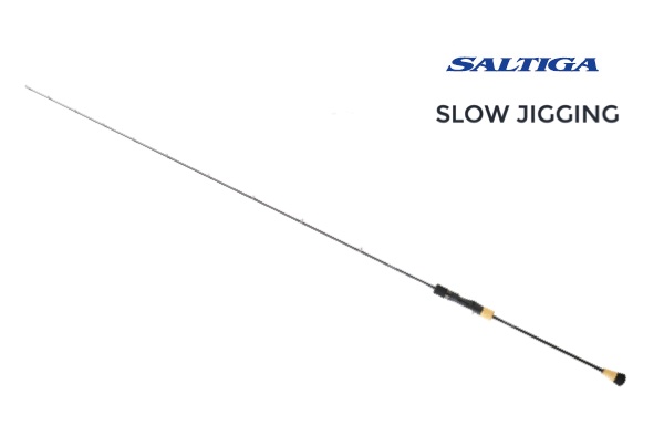 DAÏWA Saltiga Slow Jigging