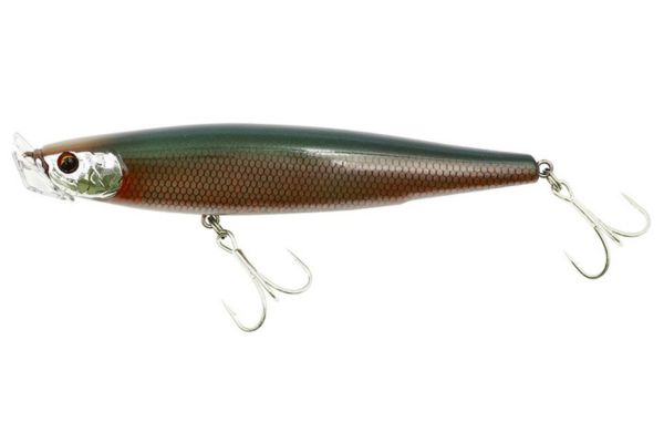 TREFLE CREATION Divola 110 (F)