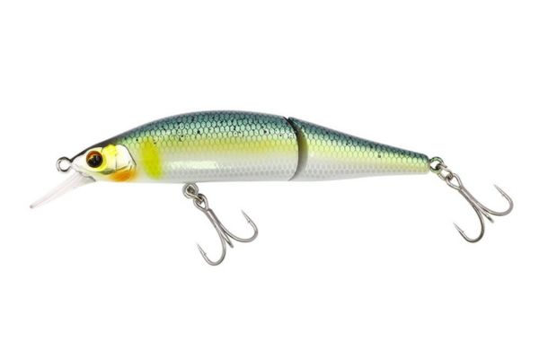 TREFLE CREATION Rafalea JT (S)