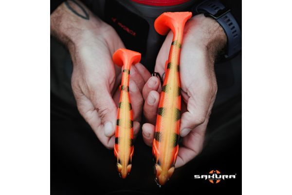 SAKURA Big Pike Shad