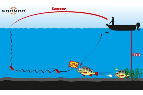 SAKURA Salty Blade ZN