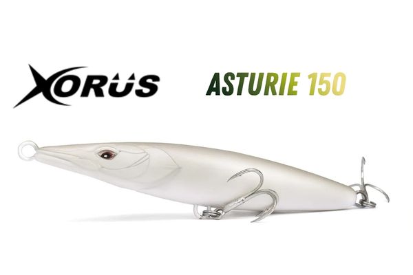 XORÜS Asturie 150