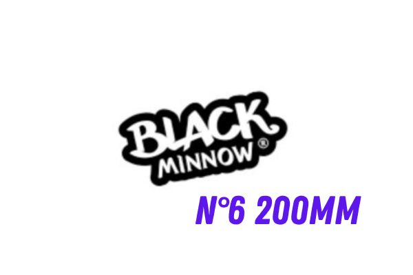FIIISH Black Minnow N°6 200mm