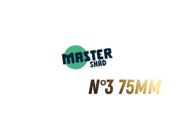 FIIISH Master Shad Têtes Plombées N°3 75mm