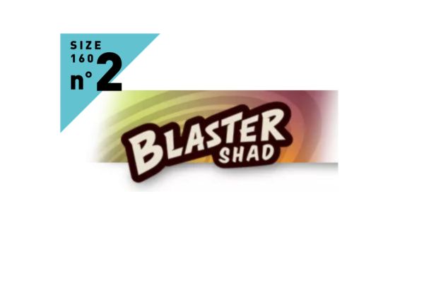 FIIISH Blaster Shad N°2 160mm