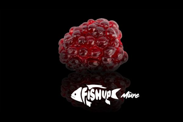 FISHUP Mûre