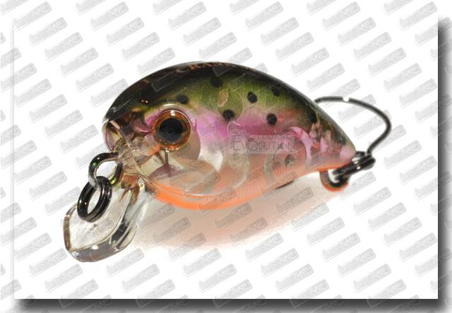 BASSDAY Kangoku Crank 27F SR #C-34