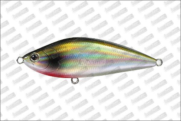 TACKLE HOUSE Sinking Shad #23