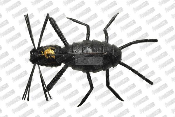 IMAKATSU Baby Spider #S-60