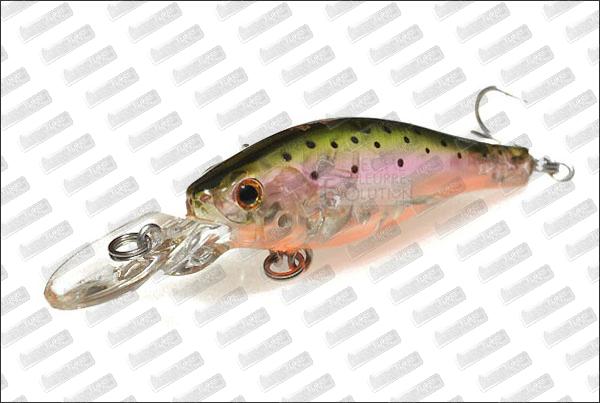 BASSDAY Kangoku Shad 45SP #C-34