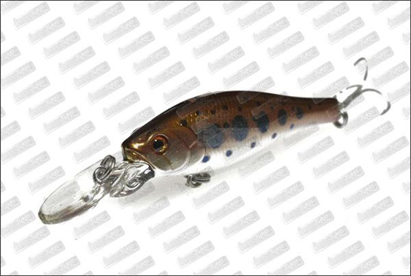  BASSDAY Kangoku Shad 45SP #MR-102