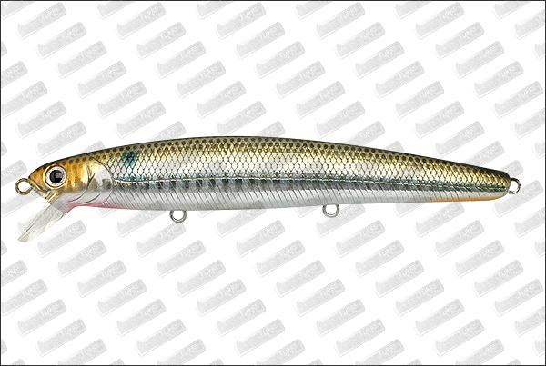 LUCKY CRAFT SW Flash minnow 110 SP Ancovy Venus