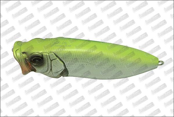 MEGABASS Pop Max #M Hot Shad