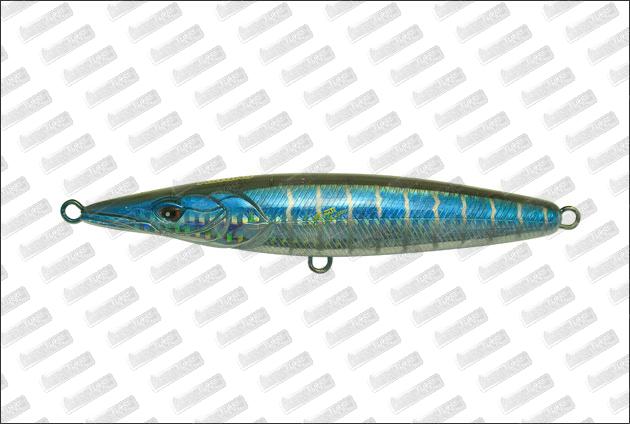 XORÜS Asturie 110 #Little Tuna