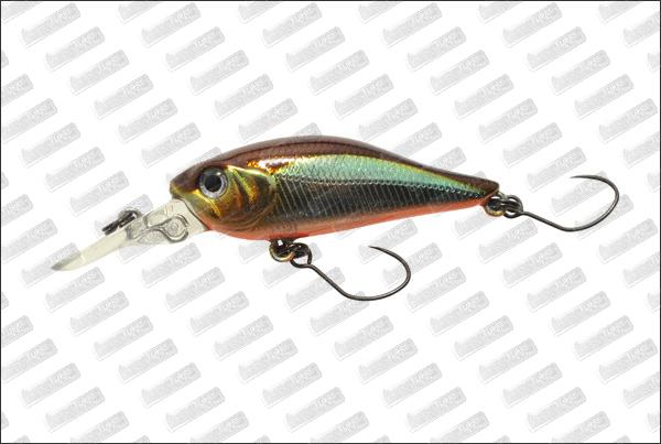 BASSDAY Kangoku Shad 40 #MR-78