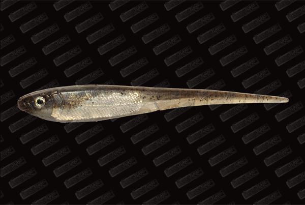 IMAKATSU Flash Needle Shad 3.5'' #284