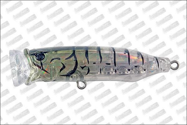 TACKLE HOUSE Feed Popper 70 #4