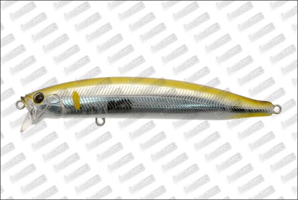 TACKLE HOUSE Feed Shallow 105 Buy on line