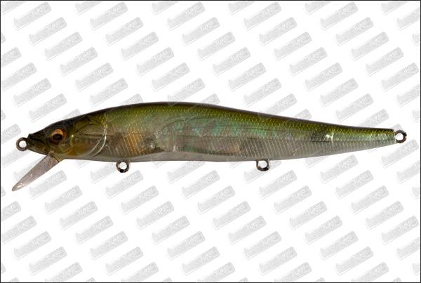 MEGABASS Vision 110 Silent Riser #NC Kisyu Ayu