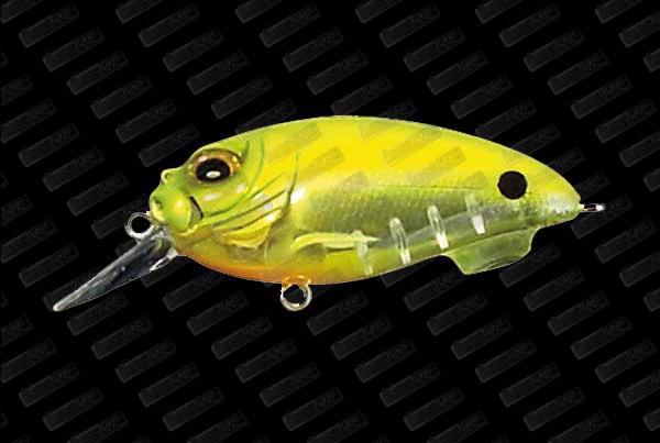 MEGABASS SR-X Cyclone #Fine Chart