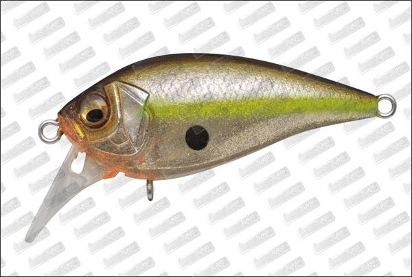 MEGABASS FX-Crank Knuckle Jr #GLX Megabass Sexy Shad