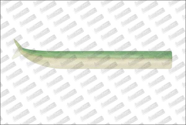 FIIISH Crazy Sand Eel 150mm n°2 #Vert Nacré