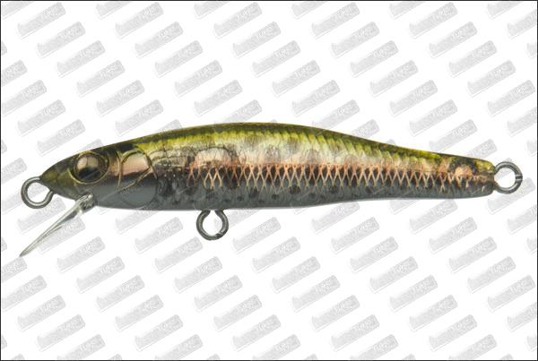 MEGABASS X-55 Great Hunting #HT Sake Tigyo