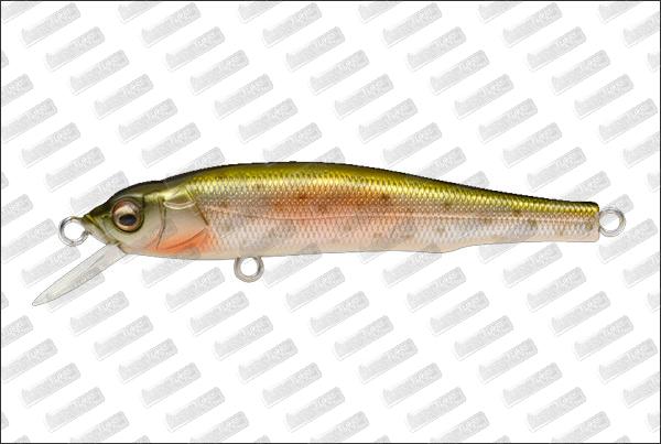 MEGABASS X-70 #Wagin Niji