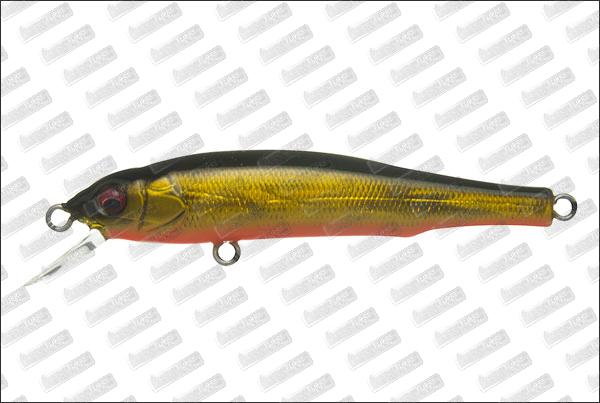 MEGABASS X-70 #GG Megabass kinkuro