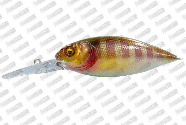 MEGABASS DX-Free 2.0 #PM Gill