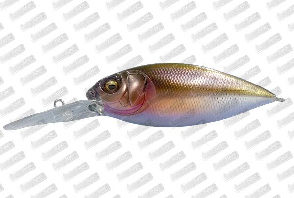 MEGABASS DX-Free 3.0 #Wagin Kawamutsu