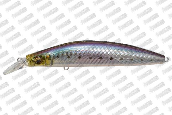 MEGABASS Flatbacker 110 #GG Iwashi