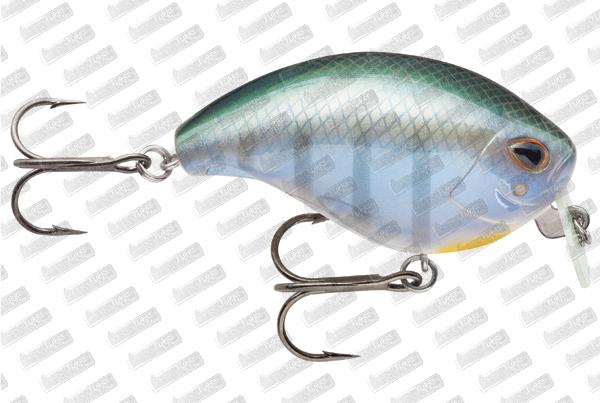 STORM ARASHI Wake Crank 06 #Blue Gill