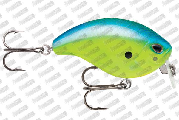 STORM ARASHI Wake Crank 06 #Parrot