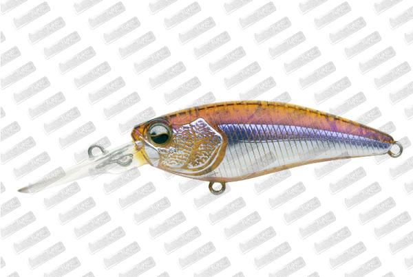 RAID JAPAN Level Shad #Gloss Wakasagi