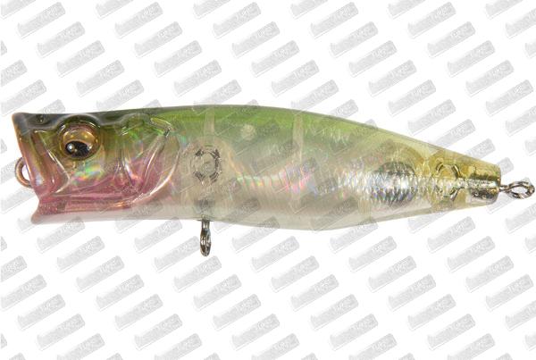 MEGABASS Popping Duck Buy on line