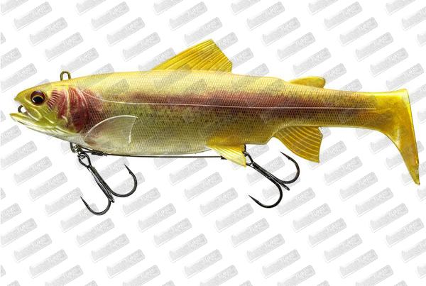 DAÏWA Prorex Live Trout Swimbait 180 #Live Gold Trout